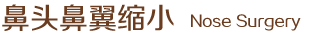鼻头鼻翼缩小