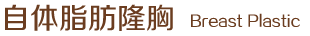 自体脂肪隆胸