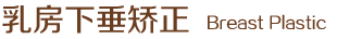乳房下垂矫正