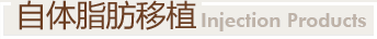 自体脂肪移植